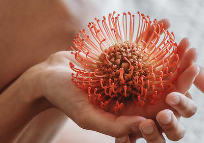 Menstruation & Zyklus