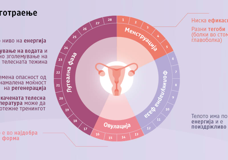 Тренинг заснован на циклус