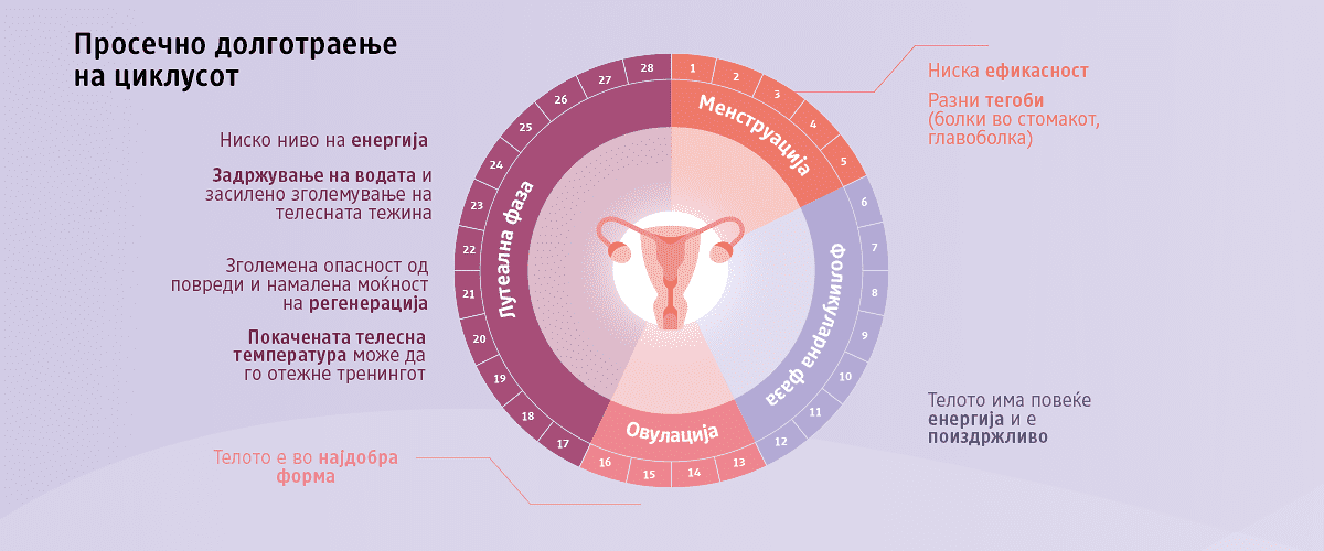 Тренинг заснован на циклус
