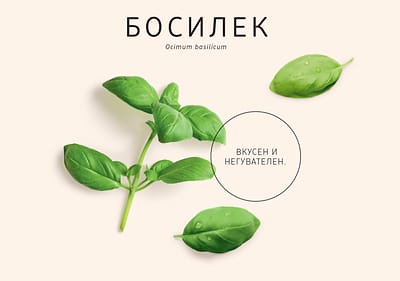 Босилек