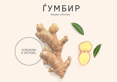 Ѓумбир