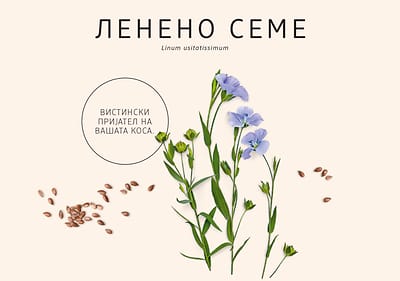 Лененео семе