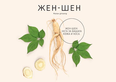 Жен-шен