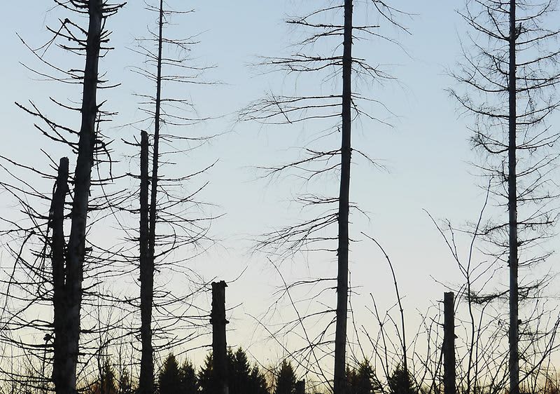 Az öt kompenzált hatás   