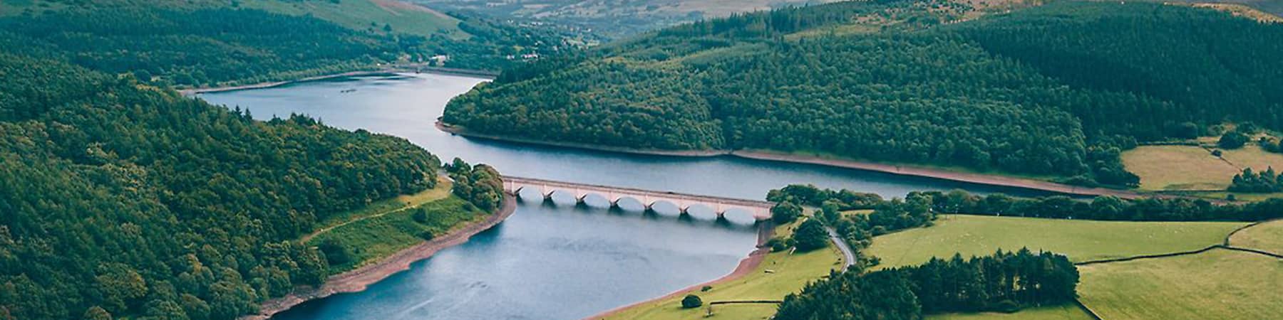 Ekološke oznake na proizvodima dm marke.